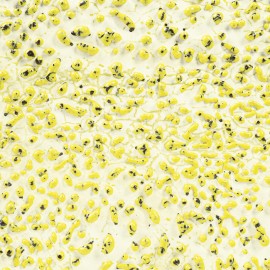 Speckled Yellow 16-oz. Amaco Crawl Mid-Range Glaze